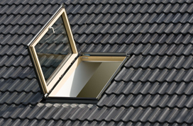 Roof access window